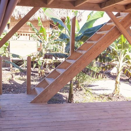 Samana Ecolodge El Limon Exterior photo