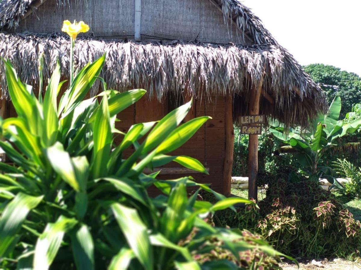 Samana Ecolodge El Limon Exterior photo