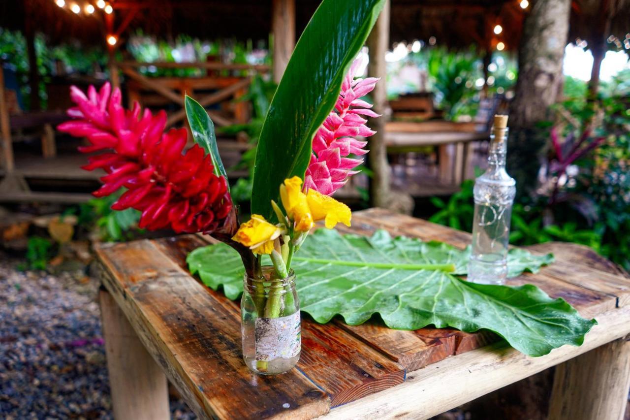 Samana Ecolodge El Limon Exterior photo