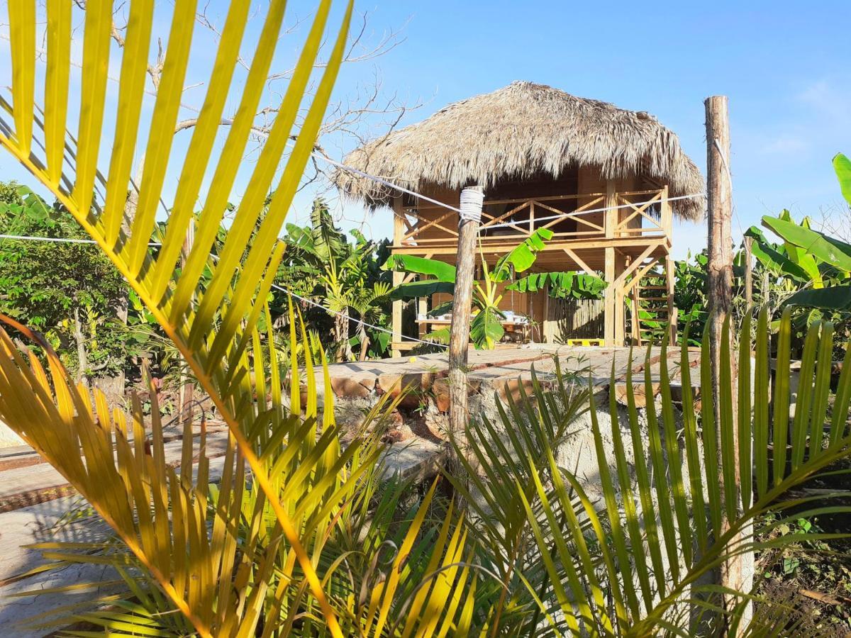 Samana Ecolodge El Limon Exterior photo